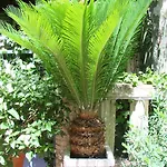 מלון Le Chardon Bleu 3*