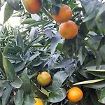 Le Chardon Bleu 3* סן-מקסים