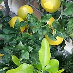 فندق Le Chardon Bleu
