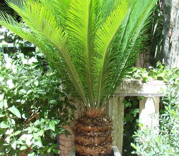 Hotel Le Chardon Bleu 3*