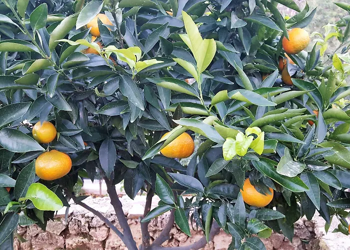 Le Chardon Bleu Szálloda